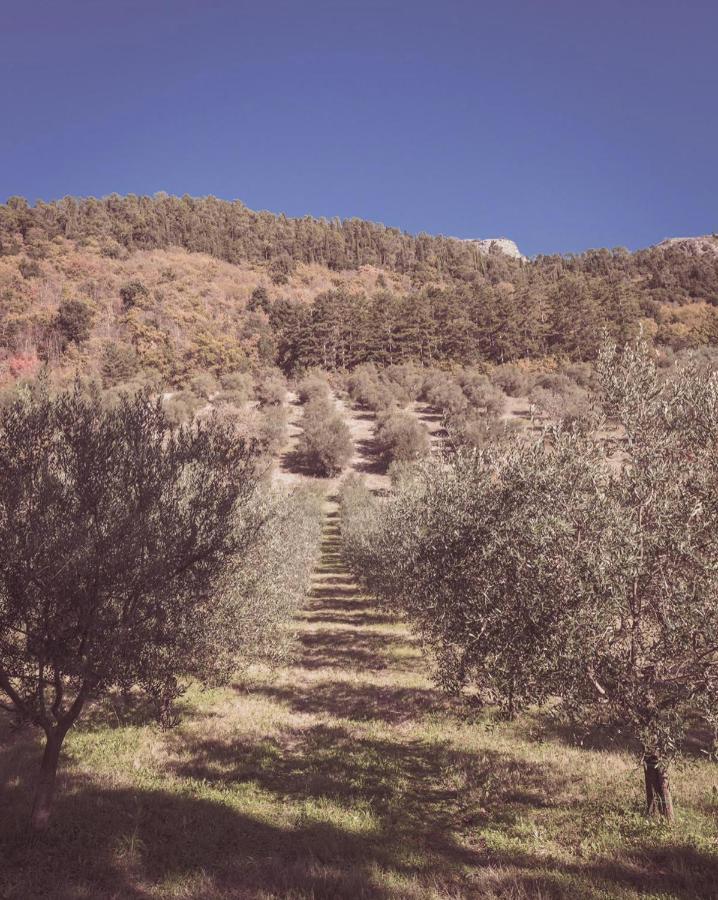 Agriturismo Querceto Mocaiana Eksteriør billede